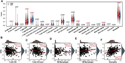 Circulating NAD+ Metabolism-Derived Genes Unveils Prognostic and Peripheral Immune Infiltration in Amyotrophic Lateral Sclerosis